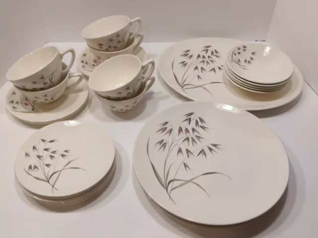 Edwin Knowles China Wild Oats Set Dinnerware Serving Tray 28 Pieces 1950's MCM