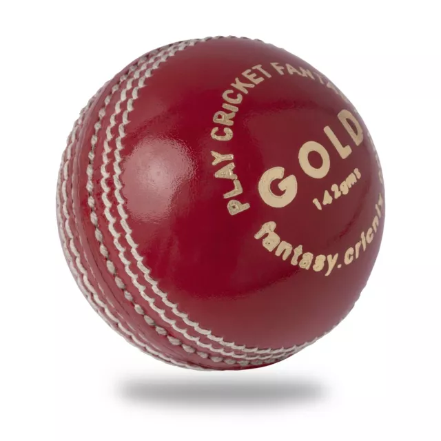 Cricnix Gold Leather Red Cricket Ball - 142 g for Juniors, Women or Net Practice 2