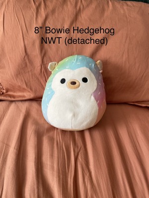 bowie hedgehog squishmallow