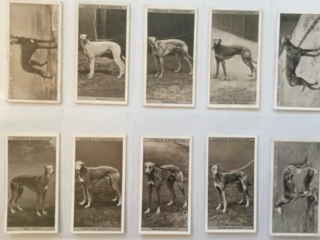 Greyhound Racing 1928 Original Full Set Ogdens Cigarette Cards Vgc