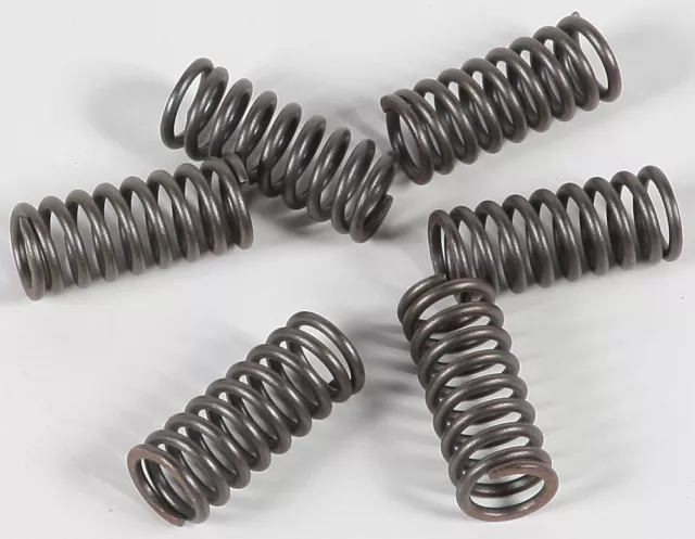 EBC - CSK33 - CSK Clutch Spring Kit 10% Stiffer Than Stock Springs