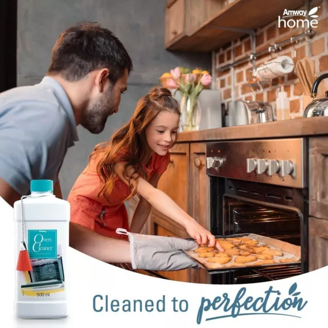 3 Gel Nettoyant Four Grill vitro rotissoire Amway avec pinceau applicateur 500ml 4