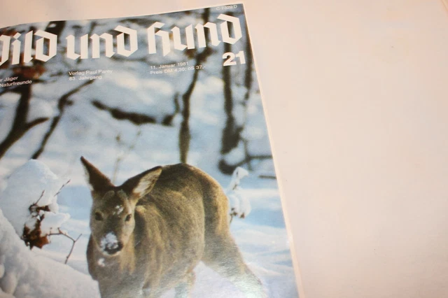 WILD UND HUND Año 1981 Encuadernado 3