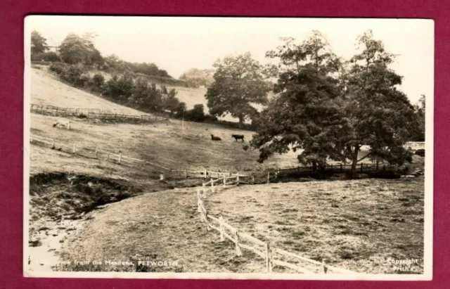 162805  Postcard  PETWORTH  West Sussex