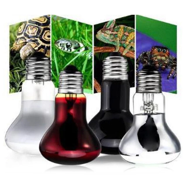 Appareil de chauffage de serre chaude Lampe chauffante Reptile