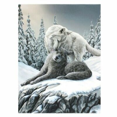Snow Kisses by Lisa Parker 25 cm x 19 cm Canvas Wall Plaque Fantasy wolf wolves