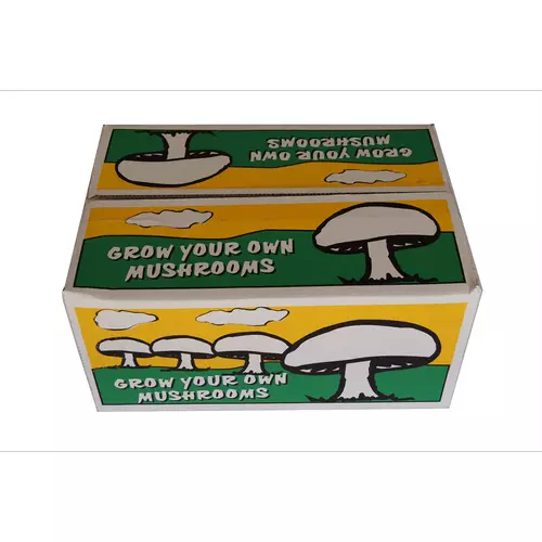 Grow Your Own Mushroom Kit