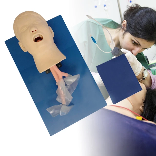 Intubation Manikin Study Teaching Training Model | Airway Management Trainer PVC