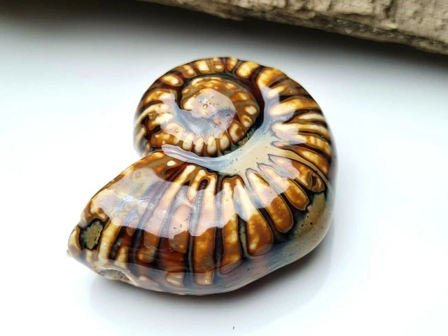 2 Stck groß Keramik Porzellan Perlen Braun Schnecke snail Tier Natur 40 mm