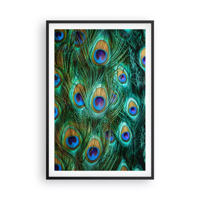 Cuadro Poster de Pared 61x91cm P�ster Marco Pavos Reales Pluma Macro Wall Art