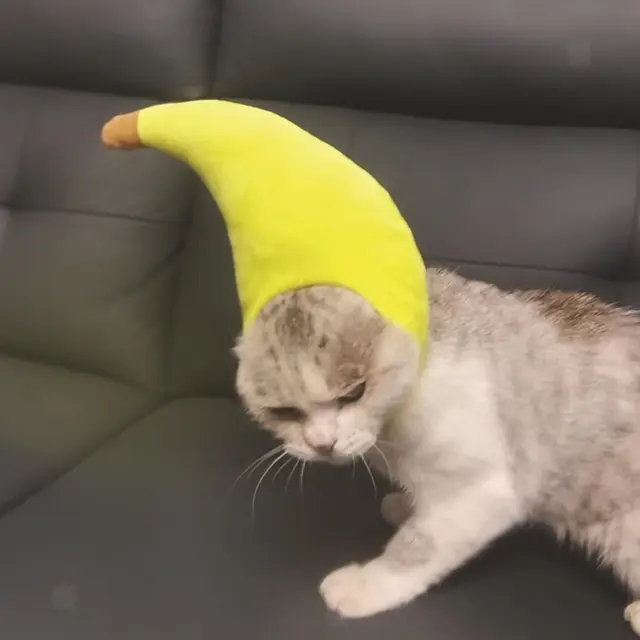 Chapeau De Costume De Chat Banane Mignon, Oreilles D'animaux Douces, Chapeaux