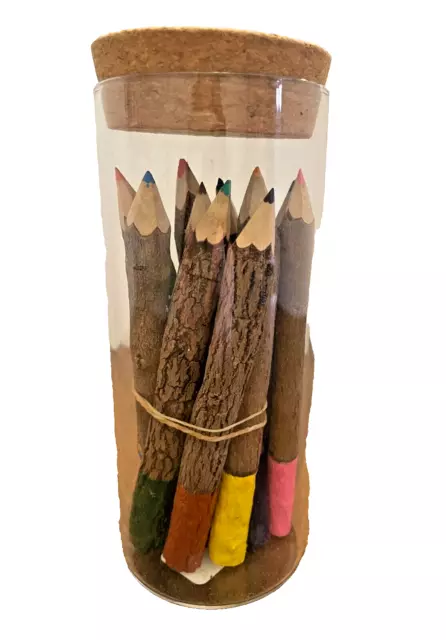 Faber-Castel FC112112 Pitt Pastel Pencils in A Metal Tin (12 Pack) Assorted