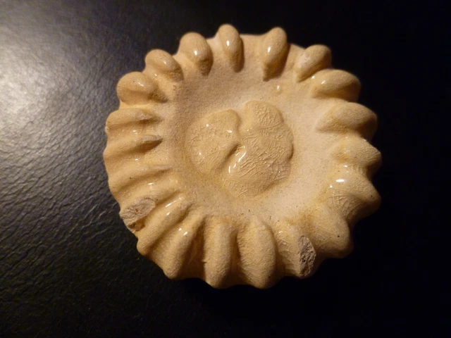 Bouton Ancien Collection - Parurier En Résine Cristallisée / Galalithe - 37 Mm - Fabrication Française