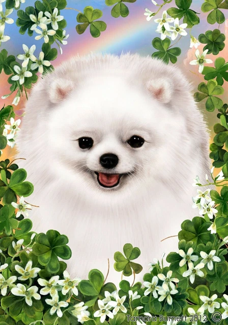 Clover Garden Flag - White Pomeranian 314331