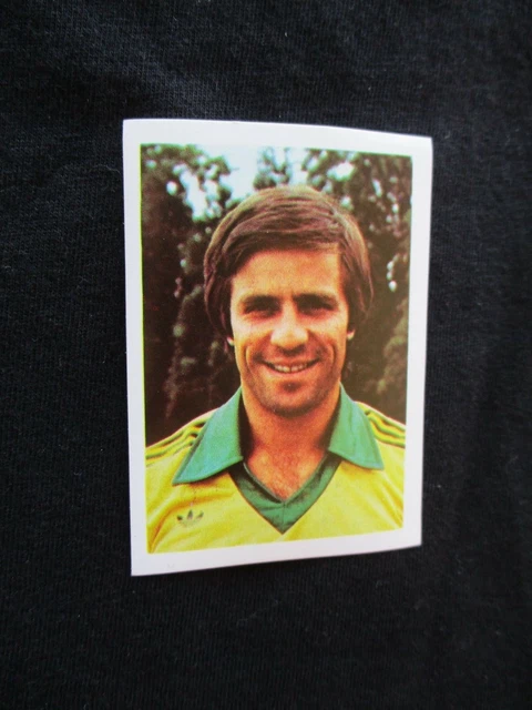 panini sticker platini et henri michel euro football 76 N°104