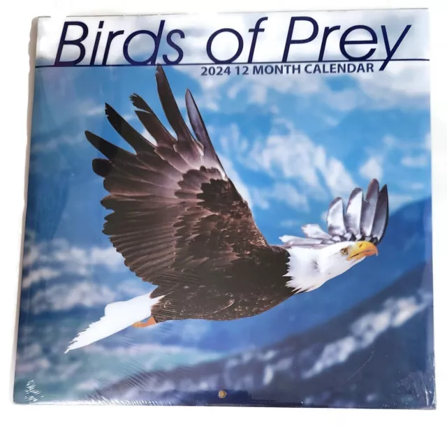 BIRDS OF PREY 2024 Wall Calendar Great Wall Art 5.99 PicClick