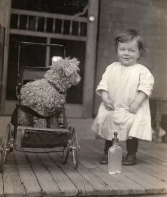 Cute Dog In Baby Carriage Little Girl Bottle On Porch RPPC Real Photo Postcard