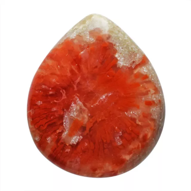 21 Cts Natural American Red Horn Coral Loose Gemstone Pear Cabochon 26X22X4