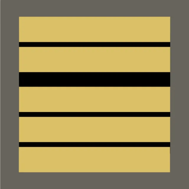 Grade militaire haute visibilité jaune Commandant