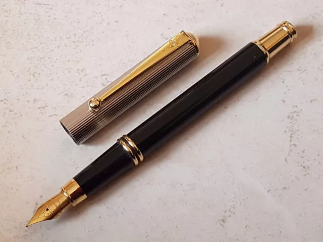 Stylo plume vulpen fountain pen fullhalter penna nib writing stilografica 鋼筆