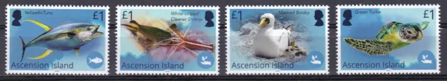 Ascension Isl, Fauna, Birds, Fishes, Turtles MNH / 2021