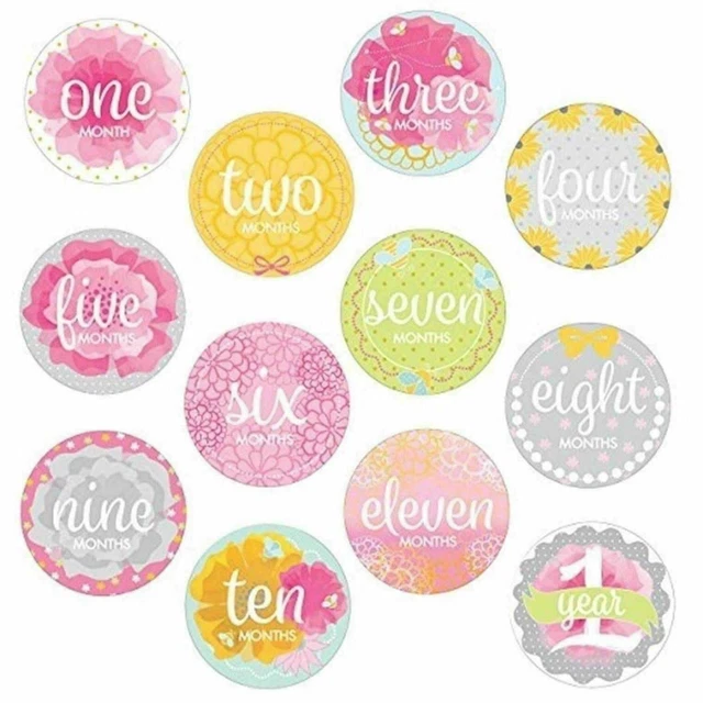 Milestone Stickers First Year Photo Set Pink Baby Girl Monthly Keepsake