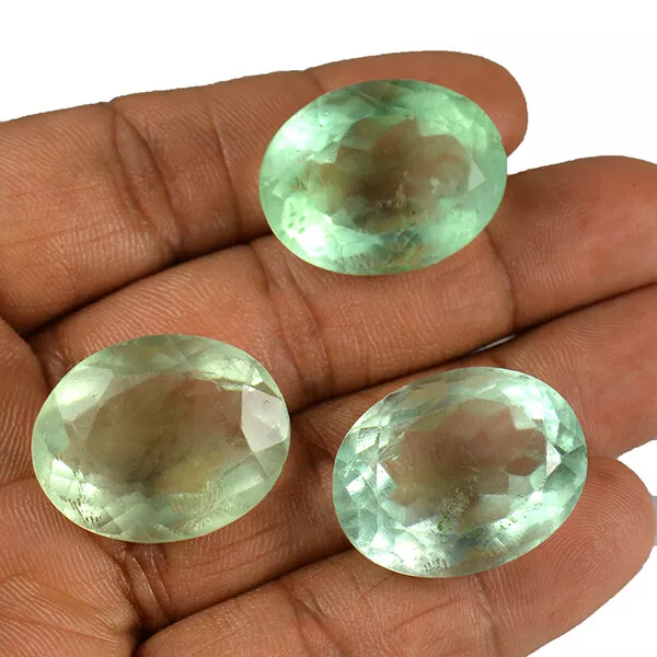 169 CT / 3 Pièces en Gros Lot Vert Naturel Fluorine Coupe Ovale Forme Libre