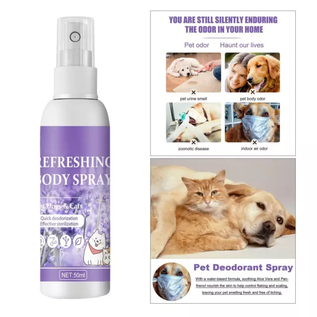 Déodorant pour animaux de compagnie Spray désodorisant pour chien pour