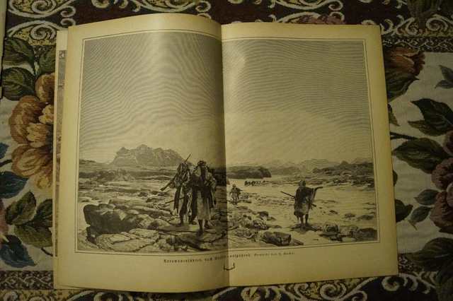 1887/88 n Druck 865 Rochegosse Meckel von Hemsbach Kamerunberg Kamerun Kolonien