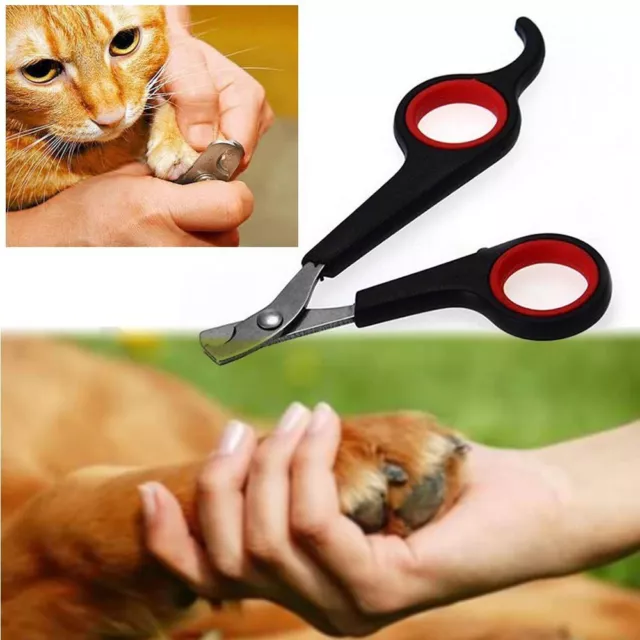 chat Coupeur d'ongles pour animaux de compagnie Clipper Ciseaux de griffes