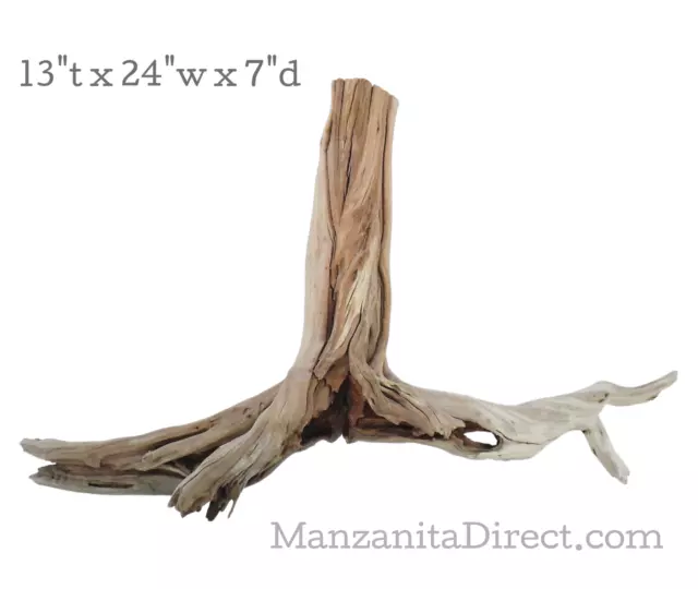 Rustic Aquarium Driftwood Stump / Reptile Decor from Manzanita Direct 0728-2