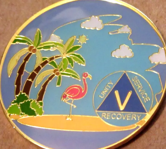Playa - Moneda Medallón Azul Amarillo Rosa Alcohólicos Anónimos 5 Años AA