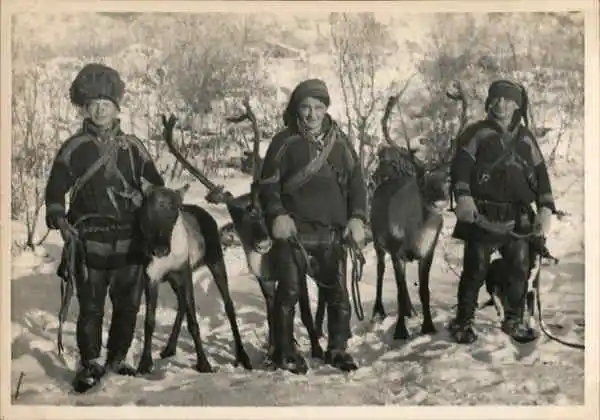 Finland Sami people with reindeer in Lapland Postcard Vintage Post Card