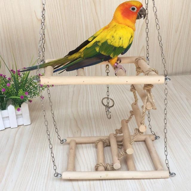 Accesorios para jaula de periquitos de cacatúas loros escalera pájaros perca pequeña jaula de periquitos