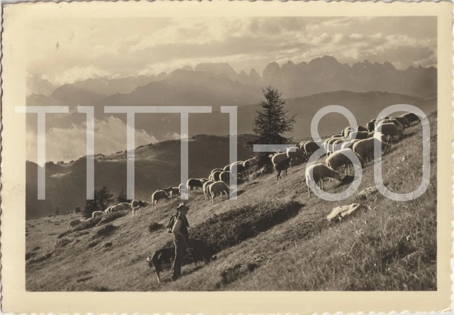 Pascolo In Bondone Con Le Dolomiti Di Brenta - Comune Di Trento 1955