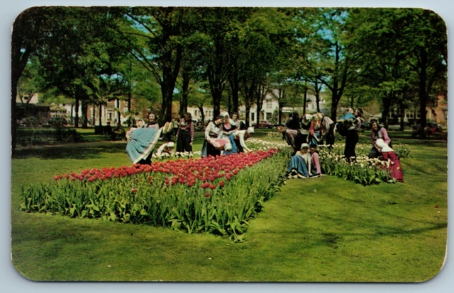 VTG Tulip Time In May Holland Michigan MI Postcard Tulip Festival 1951