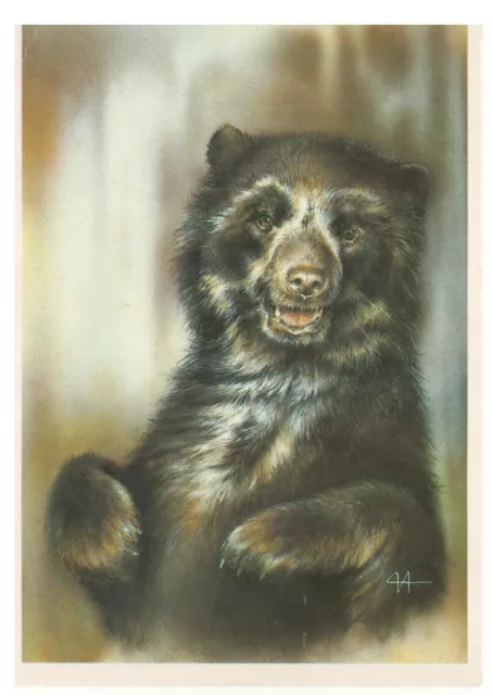 USSR postcard 1990 Spectacled Bear charity issue "Moscow Zoo" artist ISAKOV