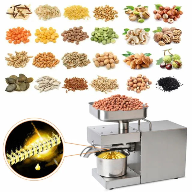 600W Automatic Oil Press Machine Commercial Peanut Oil Extractor Stainless Steel