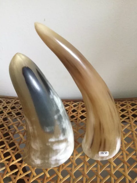 2 Viking Drinking Horn Cups