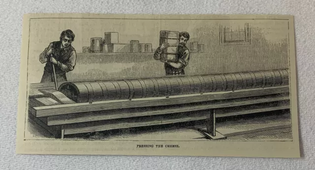1880 magazine engraving ~ CHEESE MAKING - PRESSING THE CHEESEA