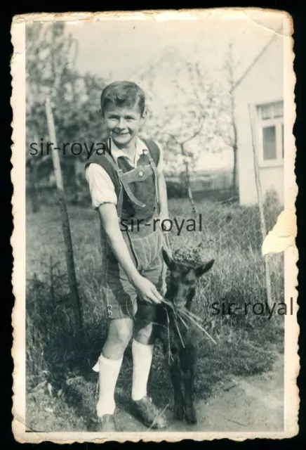 Hübscher Junge in Lederhose mit Ziege - Knabe Pimpf - Foto 6x9cm