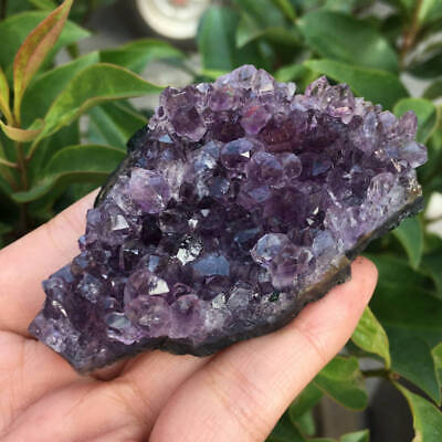 Natural Purple Amethyst Cluster Druzy Geode Quartz Crystal Stone Healing Reiki