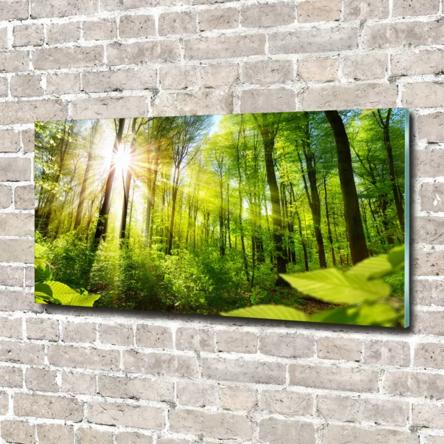 Glas-Bild Wandbilder Druck auf Glas 140x70 Deko Landschaften Wald in der Sonne