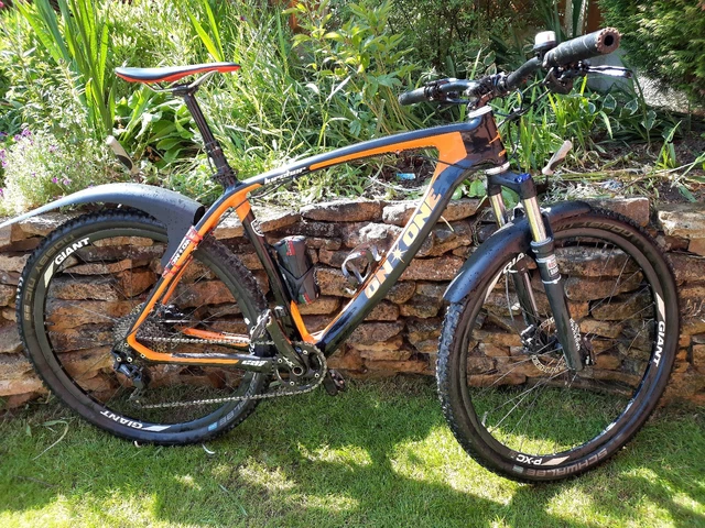 on one lurcher 29er