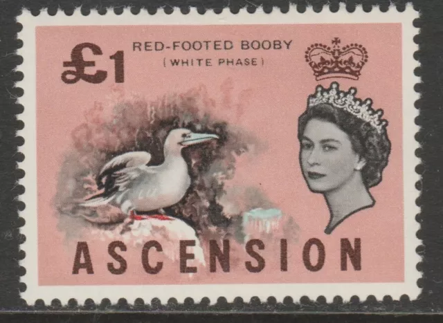 Ascension MINT sg83 1963 Birds