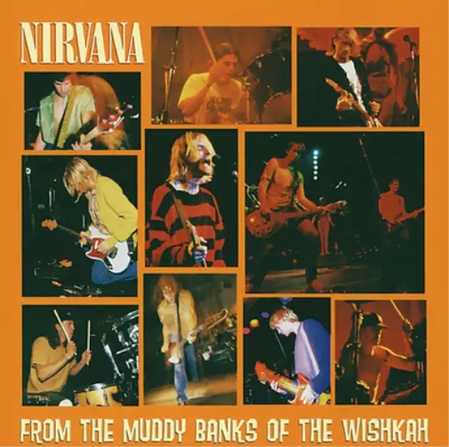 Nirvana From The Muddy Banks Of The Wishkah (Vinyl) Live