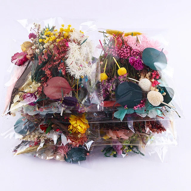1 PIEZA Flores Secas Reales Plantas Secas Para Aromaterapia Vela Epoxidhar Y4