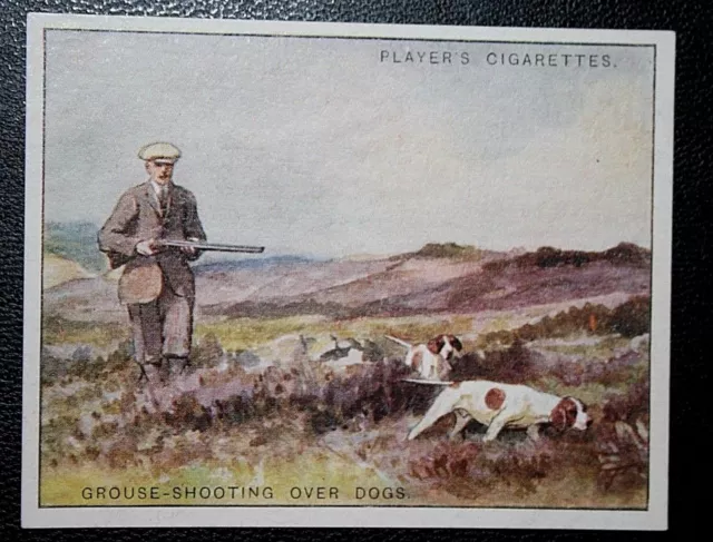 POINTER   Grouse-Shooting  Gun Dog  Vintage Sporting Card