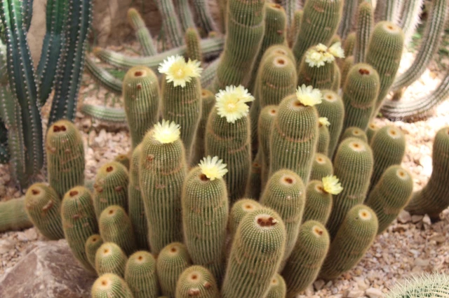PRATICA ESCA DA Giardino Interno Luce Lampada Pesce LED Esca Attraente - Foto 11