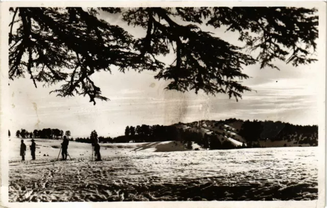 CPA AK MAROC AZROU - Sports d'hiver sur le Djebel Hebri (219078)